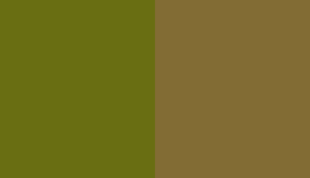 HEX #696E12 to RAL 8000 HEX #696E12 to RAL 8000