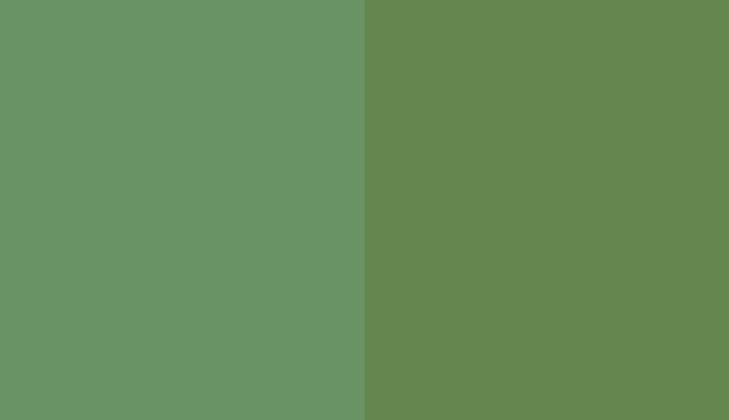 HEX #699365 to RAL 6017 HEX #699365 to RAL 6017