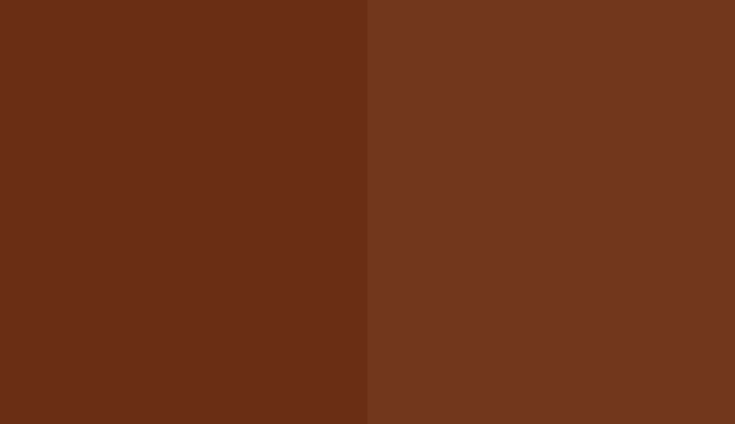 HEX #6A2E14 to RAL 050 30 36