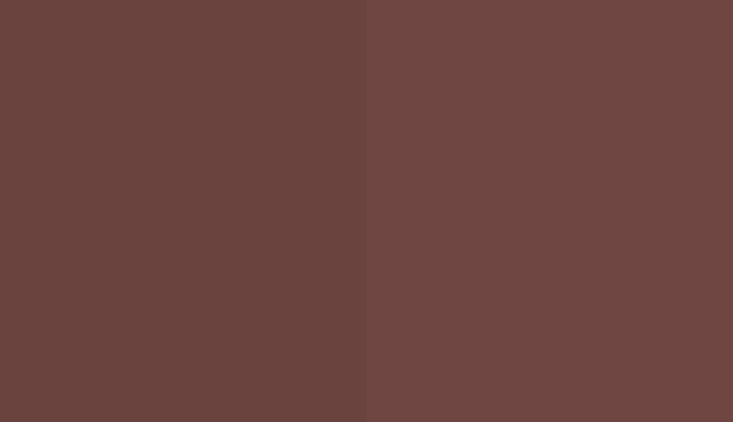 HEX #6A433E to RAL 8012 HEX #6A433E to RAL 8012