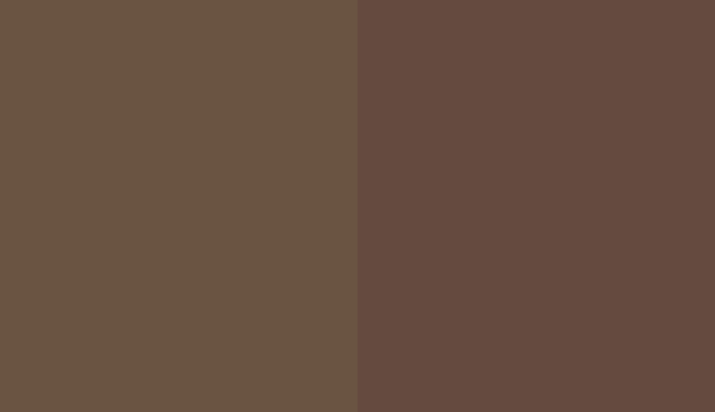 HEX #6A5442 to RAL 8011