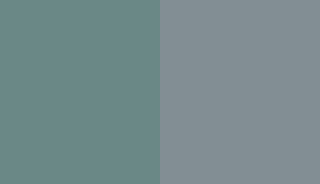 HEX #6A8886 to RAL 7000