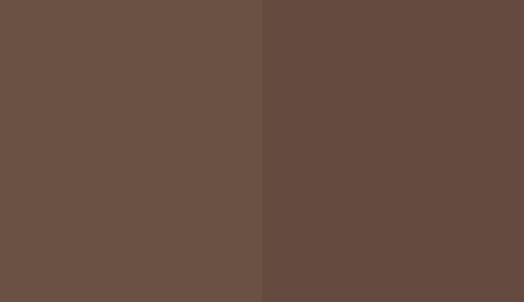 HEX #6B5143 to RAL 8011