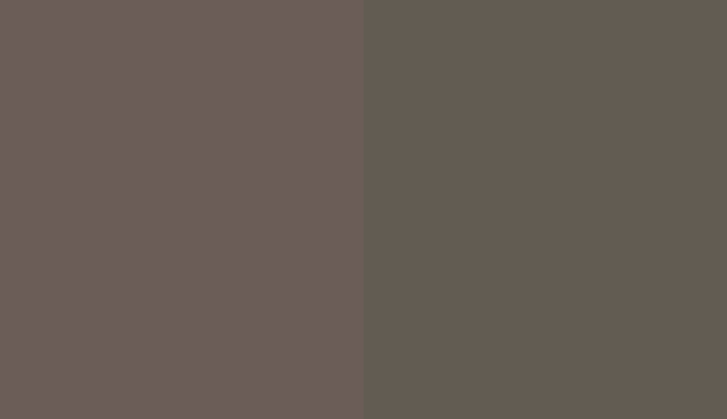 HEX #6B5D57 to RAL 7013 HEX #6B5D57 to RAL 7013