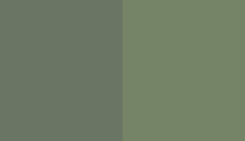 HEX #6B7563 to RAL 6011 HEX #6B7563 to RAL 6011