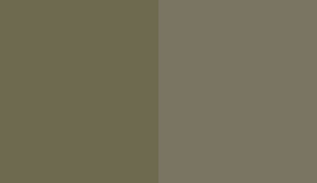 HEX #6D6A4F to RAL 100 50 10 HEX #6D6A4F to RAL 100 50 10
