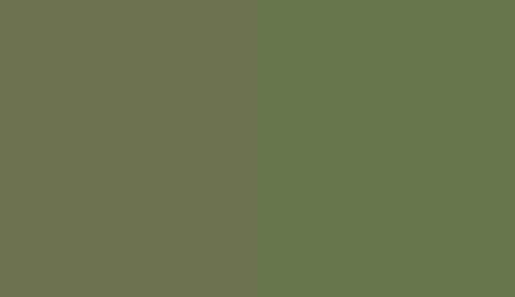 HEX #6D7250 to RAL 6025 HEX #6D7250 to RAL 6025