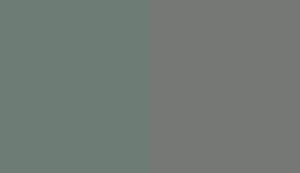 HEX #6D7D75 to RAL 7005