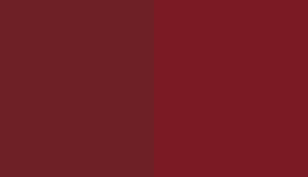 HEX #6E2026 to RAL 3032 HEX #6E2026 to RAL 3032