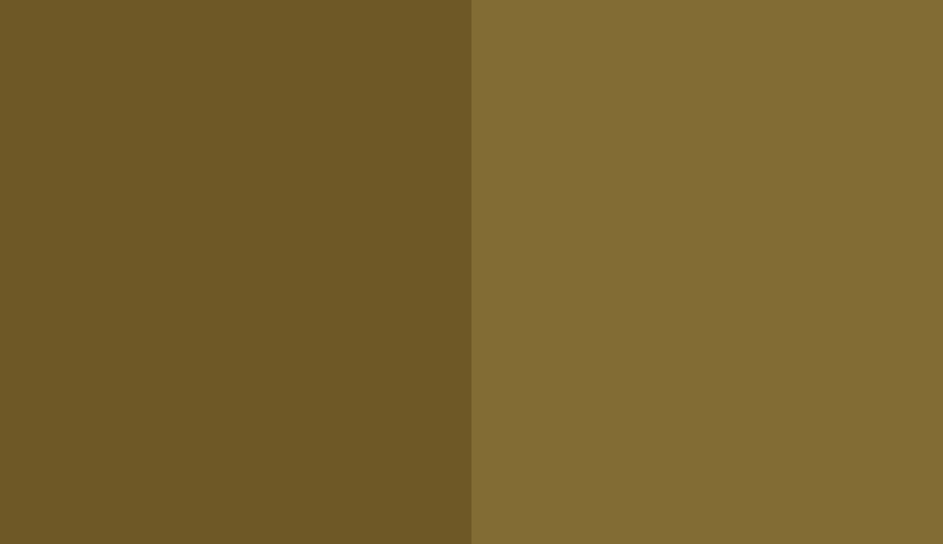 HEX #6E5826 to RAL 8000