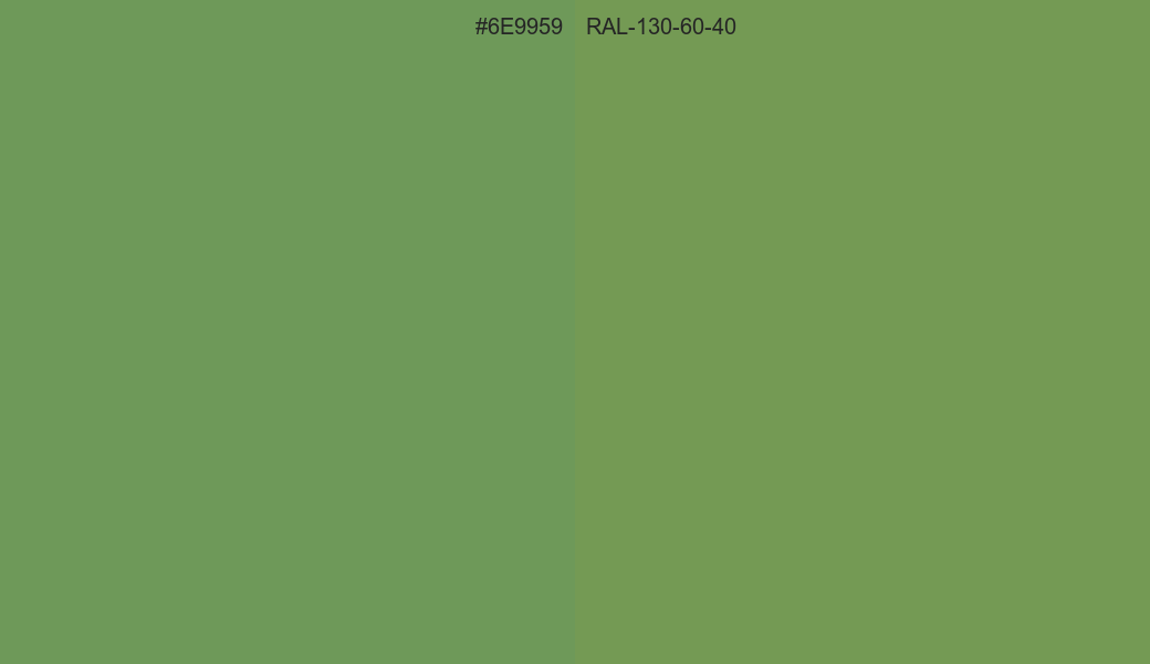 HEX Color 6E9959 to RAL 130 60 40 Conversion comparison