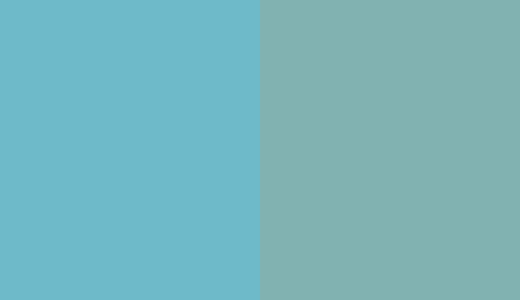HEX #6EBAC9 to RAL 6034 HEX #6EBAC9 to RAL 6034