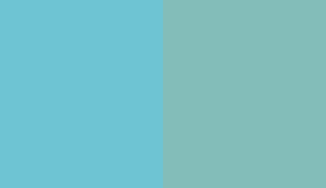 HEX #6EC4D3 to RAL 6027