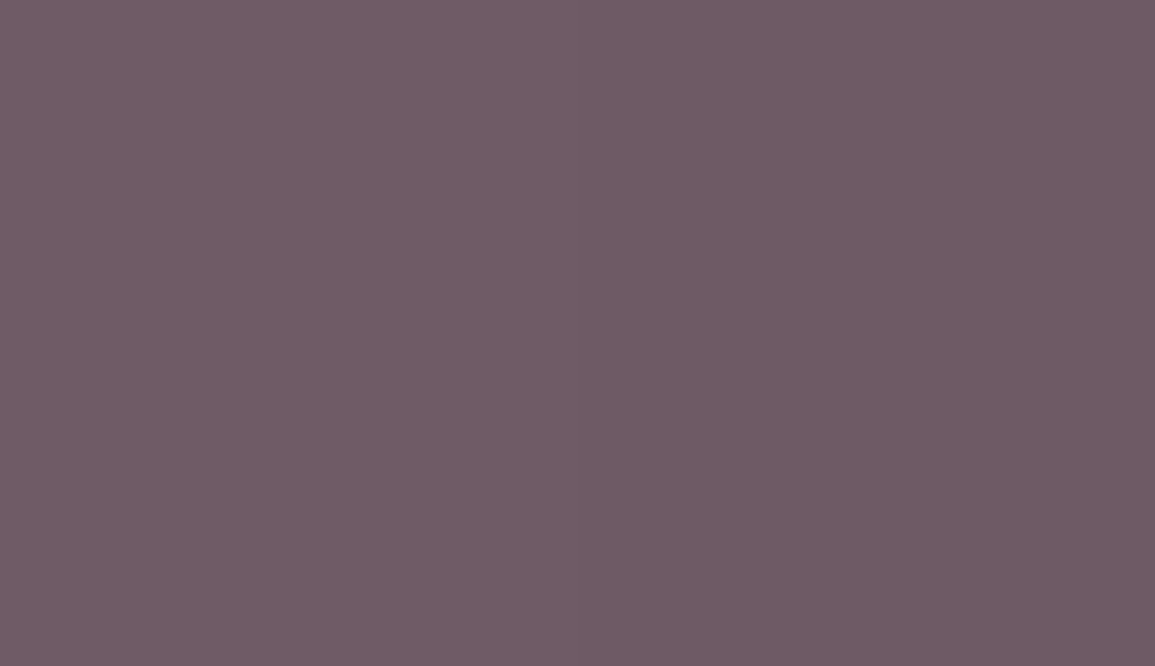 HEX #6F5A66 to RAL 350 40 10
