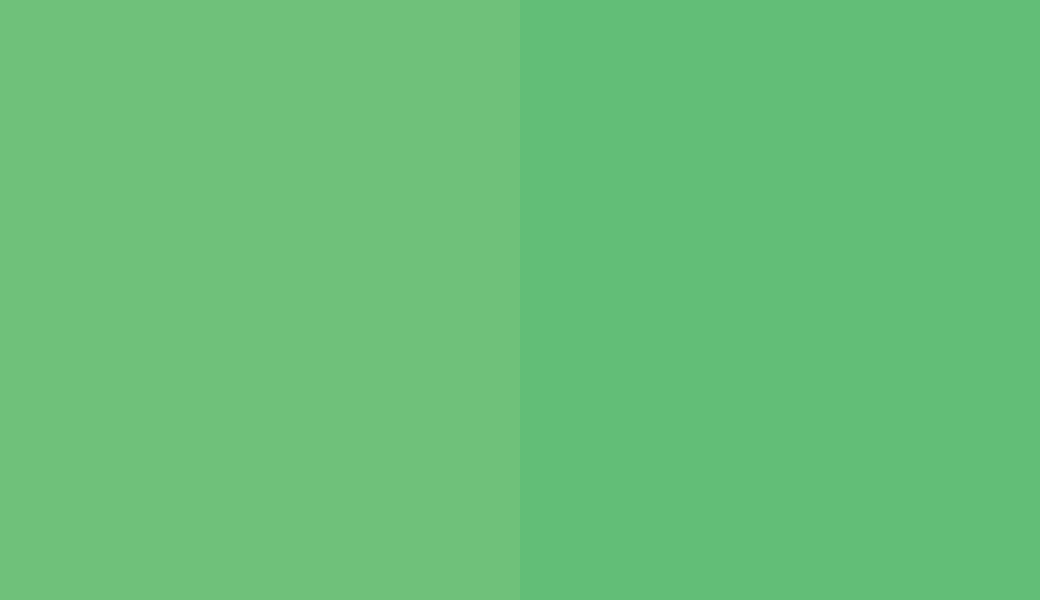 HEX #6FC17A to RAL 150 70 50