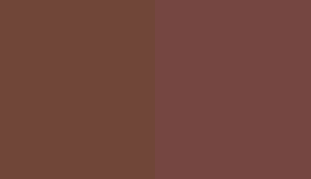 HEX #704638 to RAL 3009