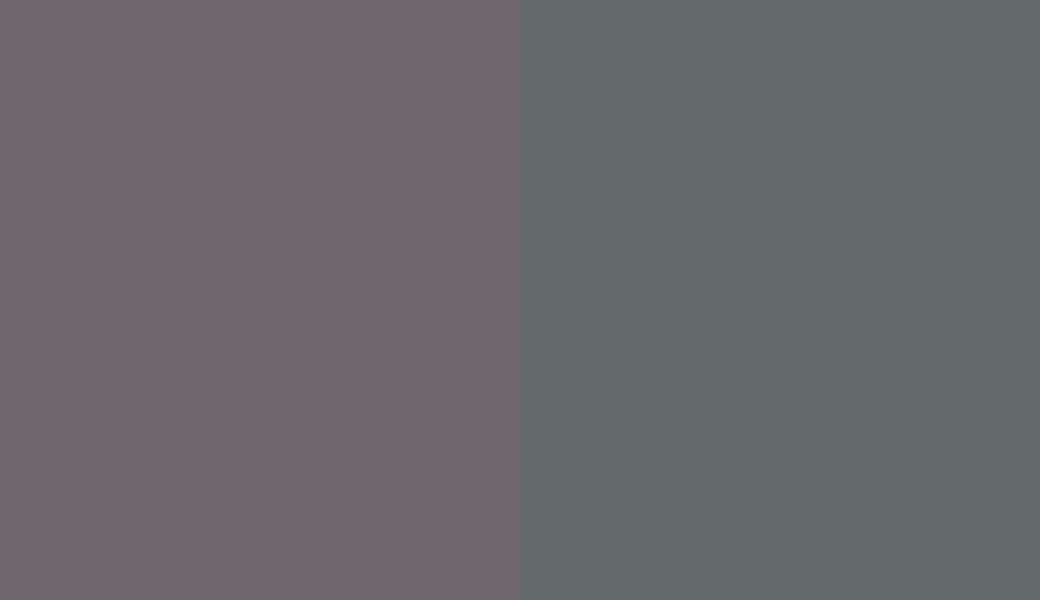 HEX #70676E to RAL 7012 HEX #70676E to RAL 7012