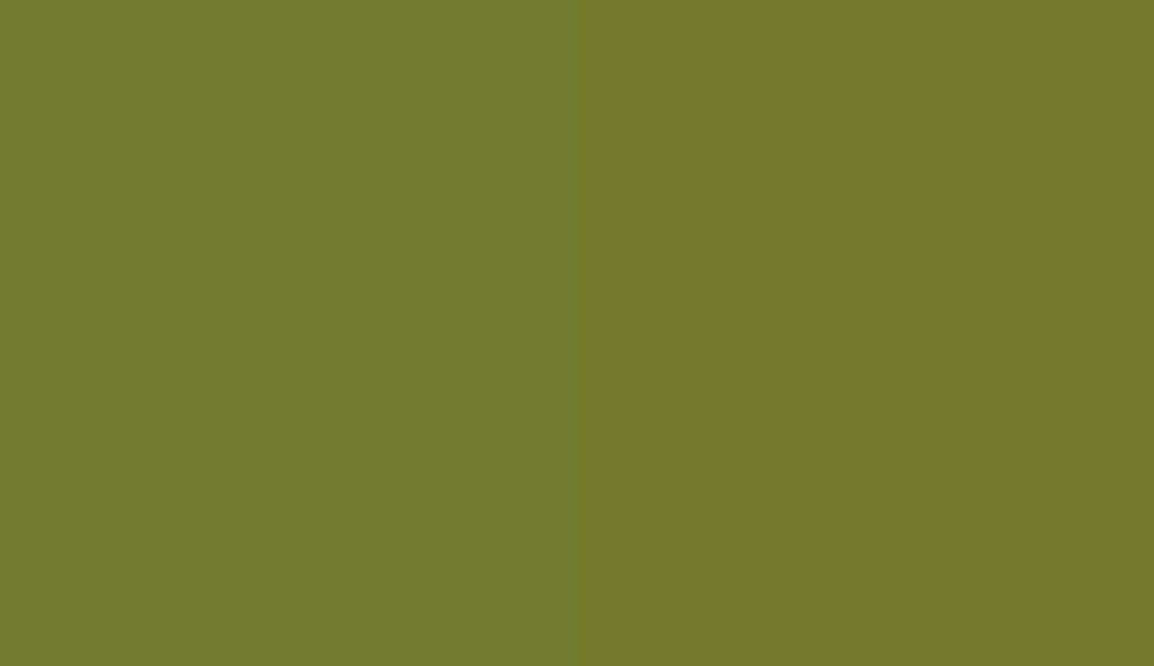 HEX #717C32 to RAL 110 50 40 HEX #717C32 to RAL 110 50 40