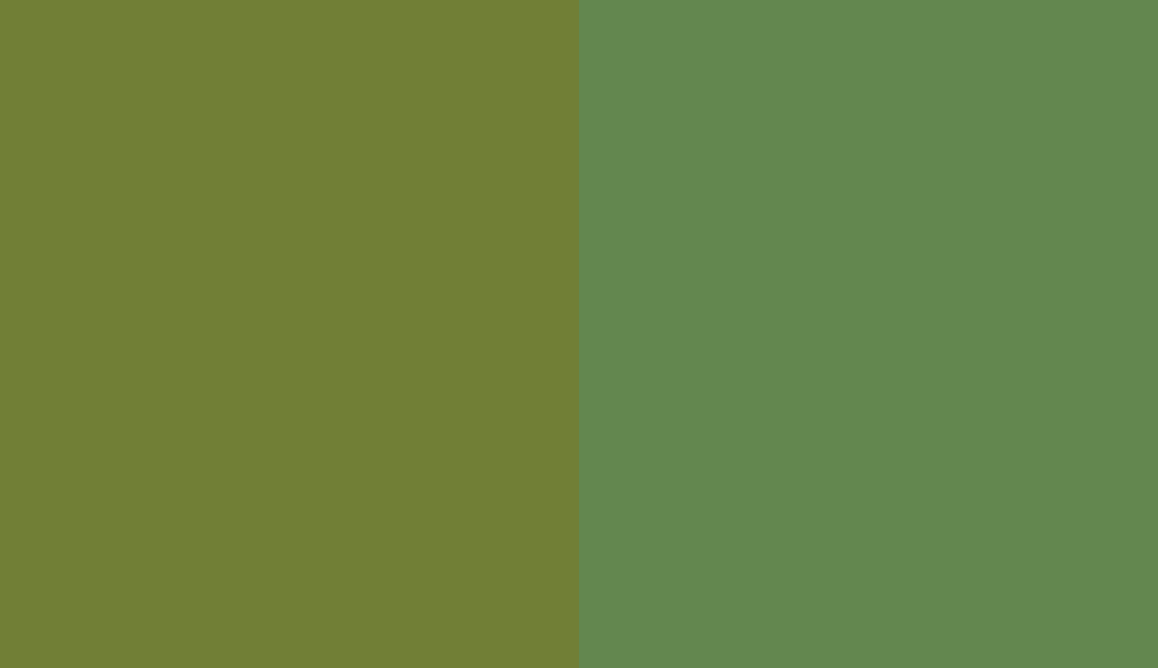 HEX #717F36 to RAL 6017
