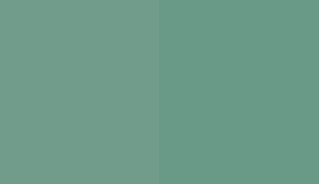 HEX #719B8A to RAL 170 60 20 HEX #719B8A to RAL 170 60 20