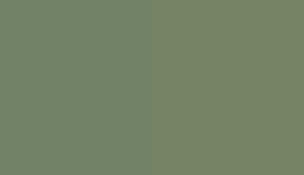 HEX #728369 to RAL 6011