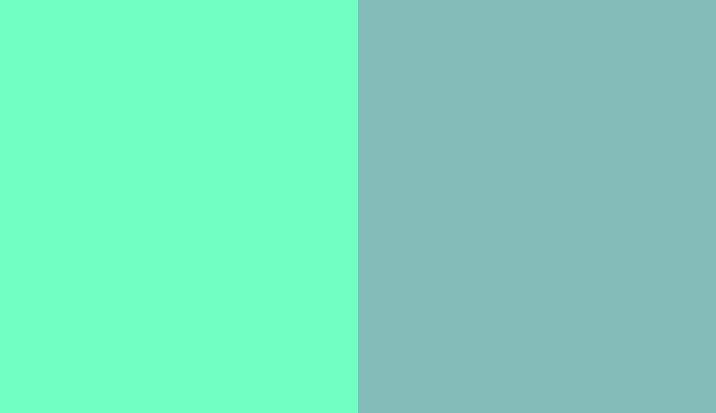 HEX #72FFC4 to RAL 6027 HEX #72FFC4 to RAL 6027