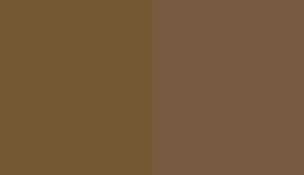 HEX #735934 to RAL 8008 HEX #735934 to RAL 8008