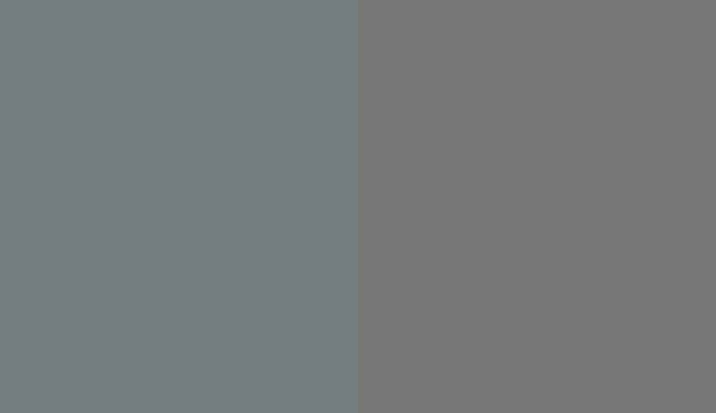 HEX #737F7E to RAL 7005