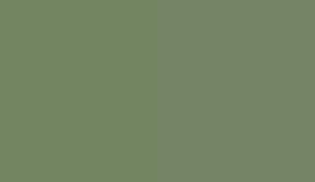 HEX #738561 to RAL 6011 HEX #738561 to RAL 6011