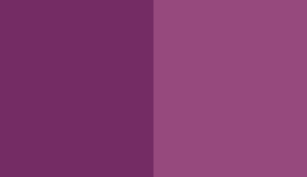 HEX #742C64 to RAL 4006 HEX #742C64 to RAL 4006
