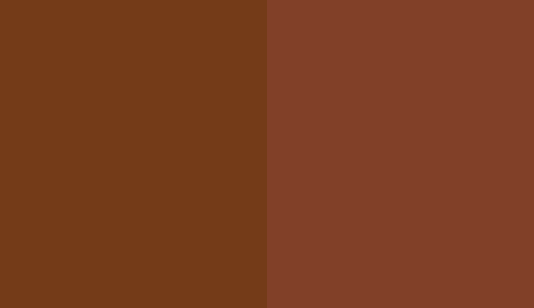 HEX #743B18 to RAL 8029
