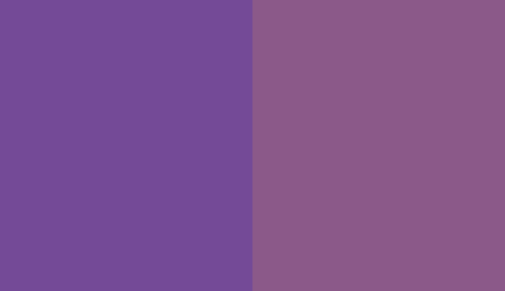 HEX #744A97 to RAL 4008 HEX #744A97 to RAL 4008