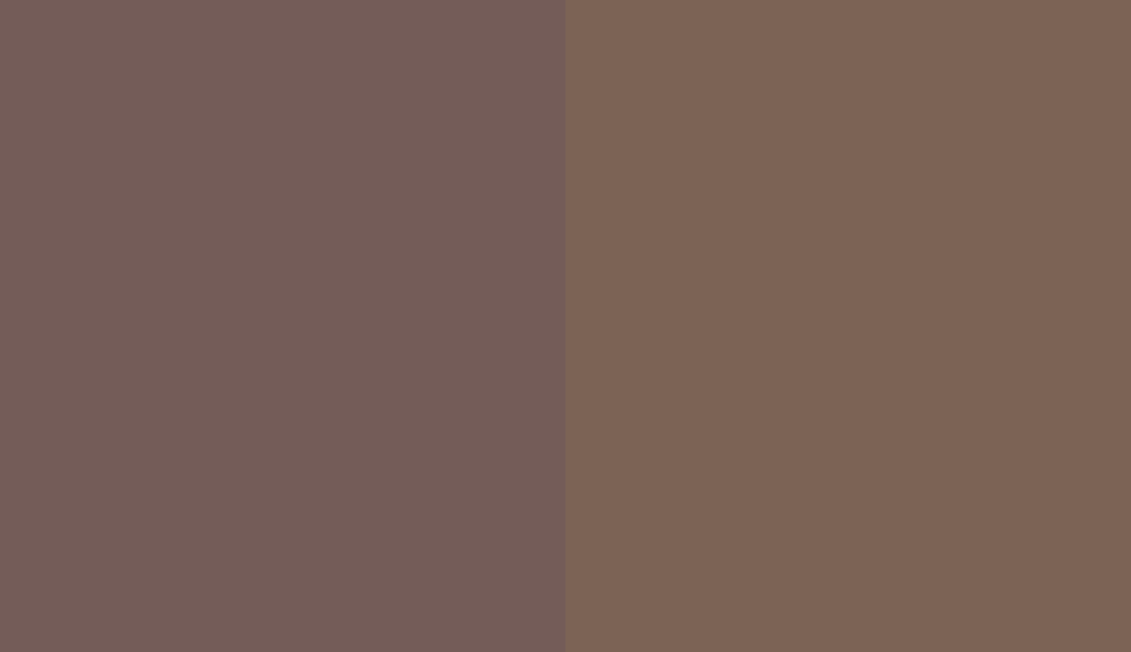 HEX #745C58 to RAL 8025 HEX #745C58 to RAL 8025