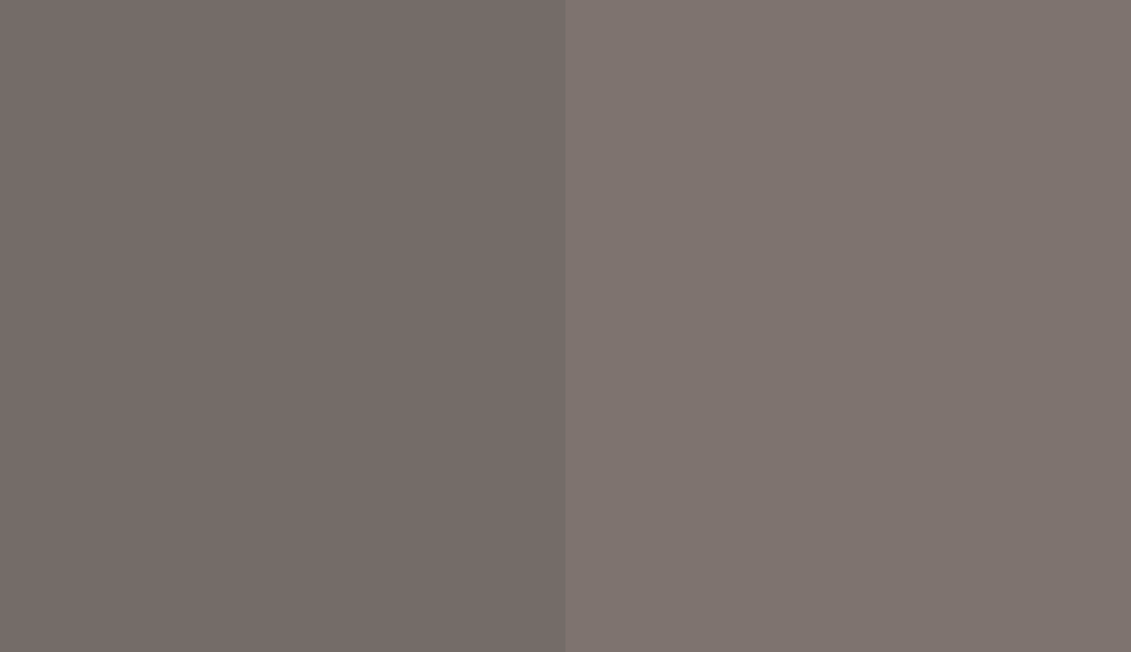 HEX #746C68 to RAL 040 50 05