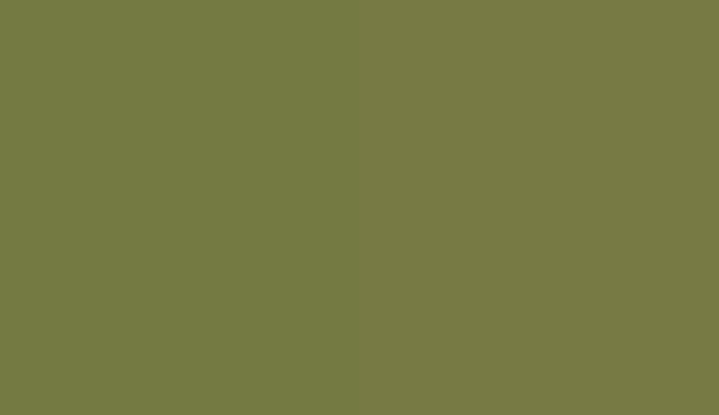 HEX #747A42 to RAL 110 50 30 HEX #747A42 to RAL 110 50 30
