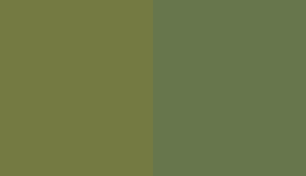 HEX #747A42 to RAL 6025 HEX #747A42 to RAL 6025
