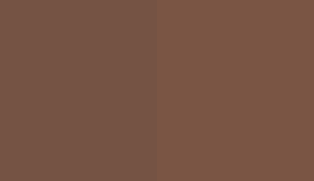 HEX #755344 to RAL 050 40 20 HEX #755344 to RAL 050 40 20