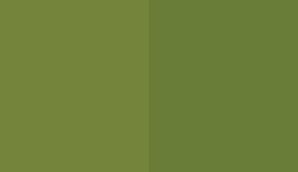 HEX #75823C to RAL 120 50 40