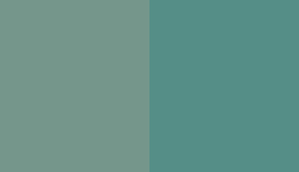 HEX #75968B to RAL 6033