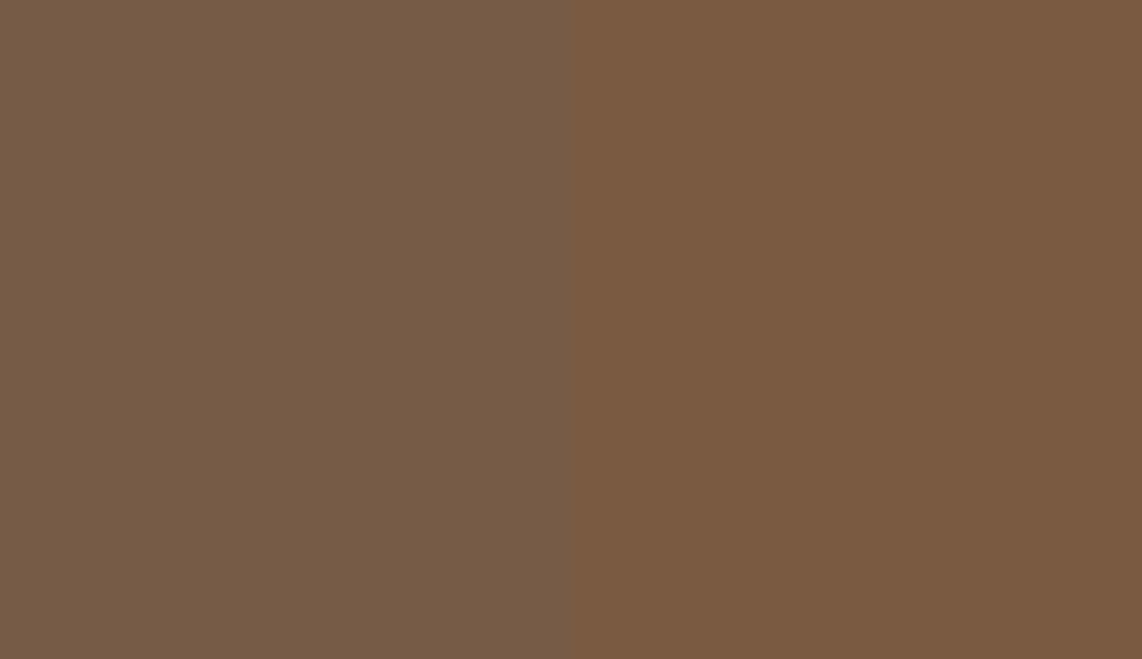 HEX #765B46 to RAL 8008