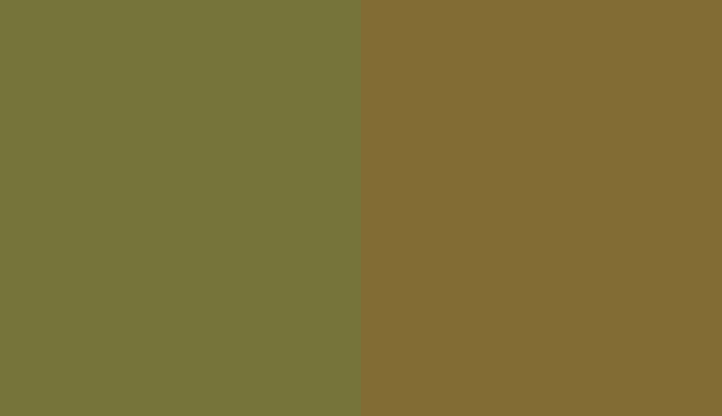 HEX #76743A to RAL 8000