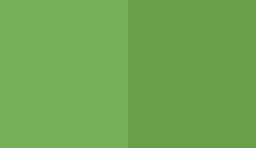 HEX #76B05B to RAL 6018