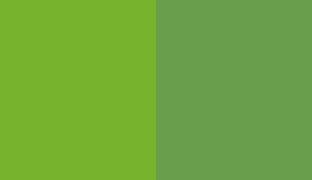HEX #77B32C to RAL 6018 HEX #77B32C to RAL 6018