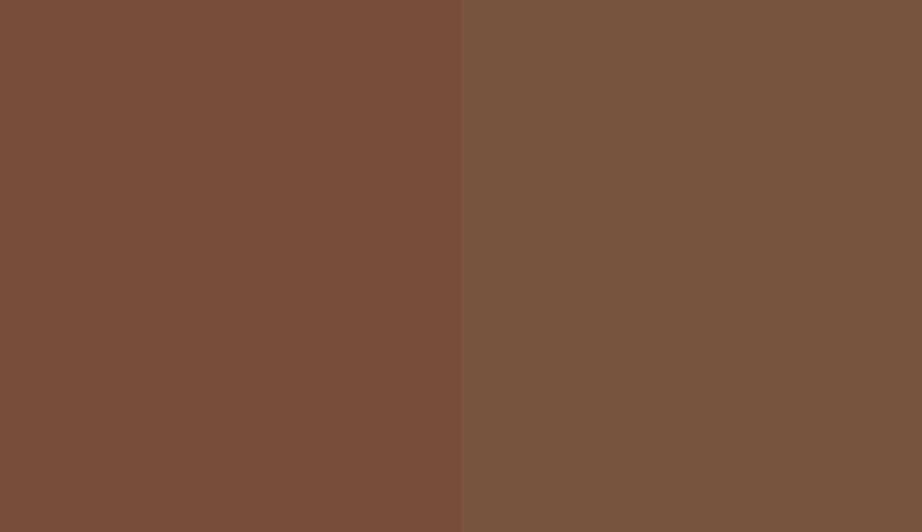 HEX #784D3A to RAL 8007 HEX #784D3A to RAL 8007