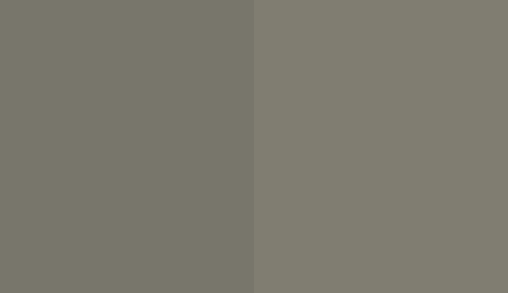 HEX #78766B to RAL 7003