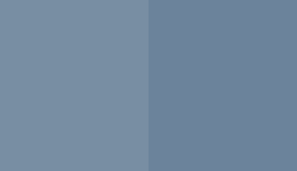 HEX #788EA3 to RAL 5014