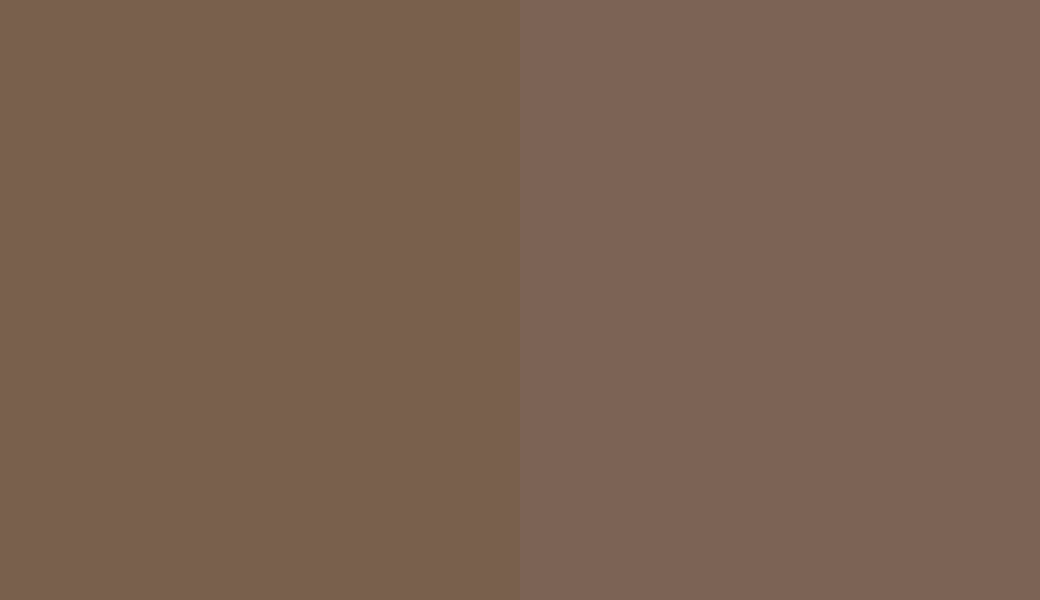HEX #79604C to RAL 8025