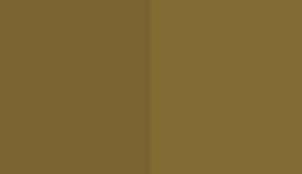 HEX #796432 to RAL 8000