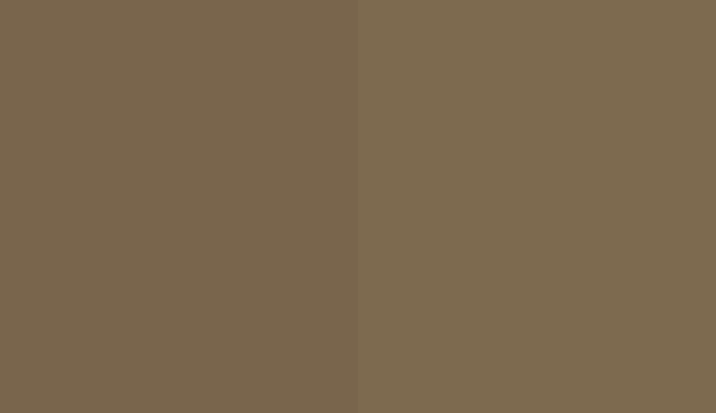 HEX #79654C to RAL 7008 HEX #79654C to RAL 7008