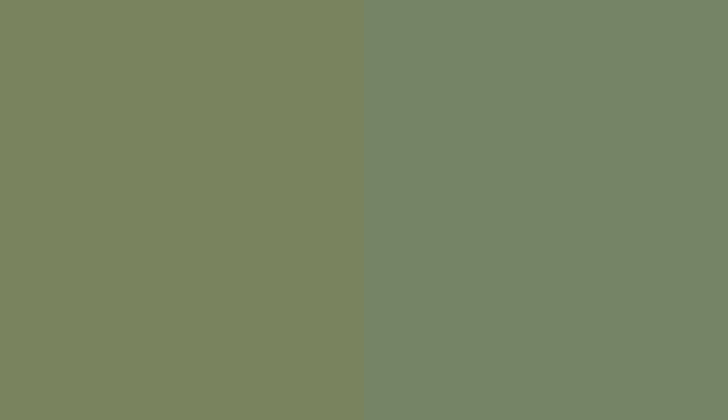 HEX #79835E to RAL 6011